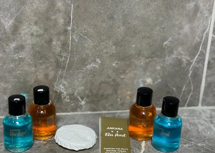 酒店 Efes 安卡拉